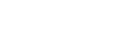 logo acelstore footer.png 1 1 1.webp